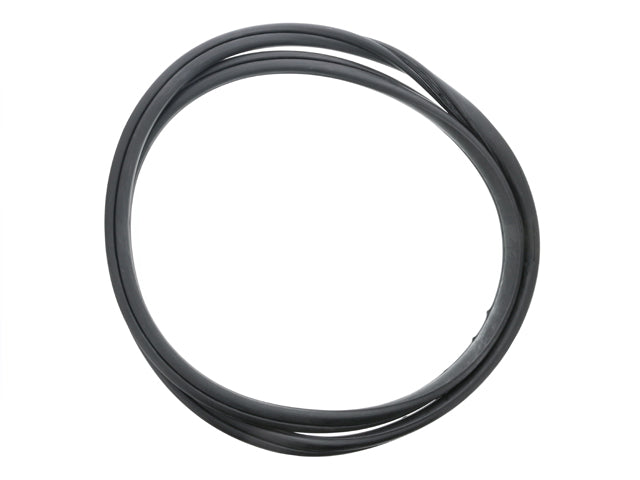 Windshield Seal