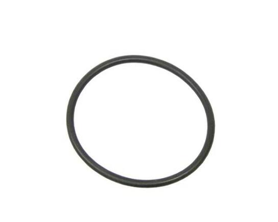 ZF O-Ring - 0734 313 110