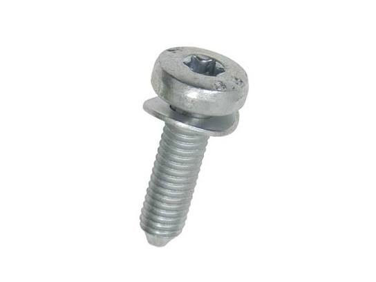 Auto Trans Oil Pan Torx Bolt (M6x22)