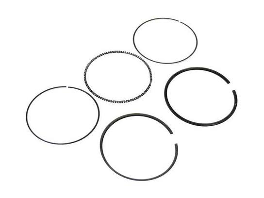 BMW Piston Ring Set (STD) 11251727461 – Goetze 0870420000