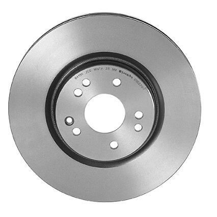 Mercedes Brembo Disc Brake Rotor – Rear Passenger Side (320mm) 1294211812