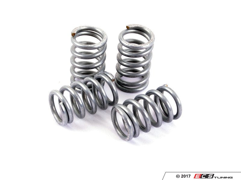 E30 Parking Brake Spring Repair Kit