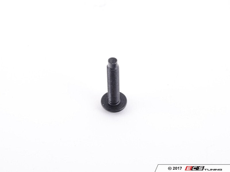 Bolt (M5x25) - Priced Each