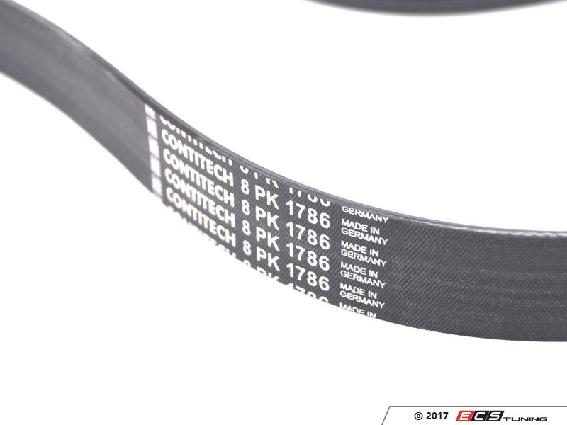 F10 Accessory Belt