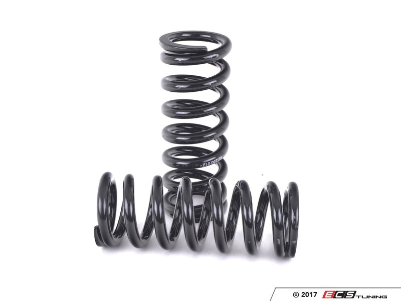 BR Series Coilover Suspension Kit - Extreme Low