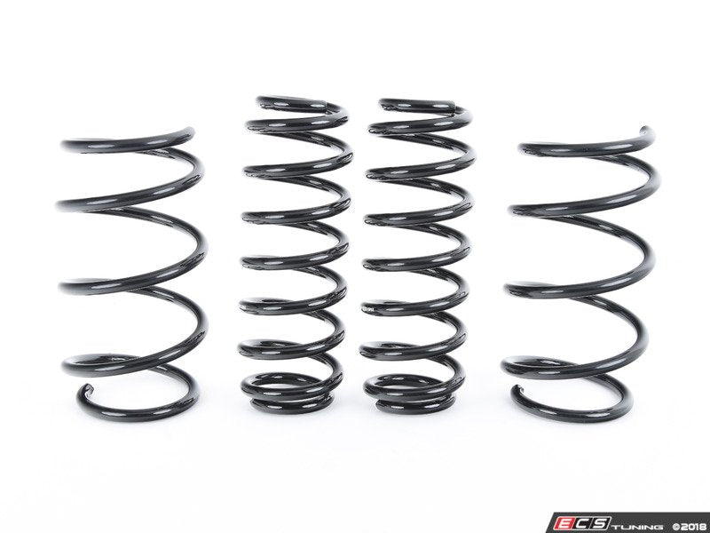 Emmanuele Design Lowering Spring Kit