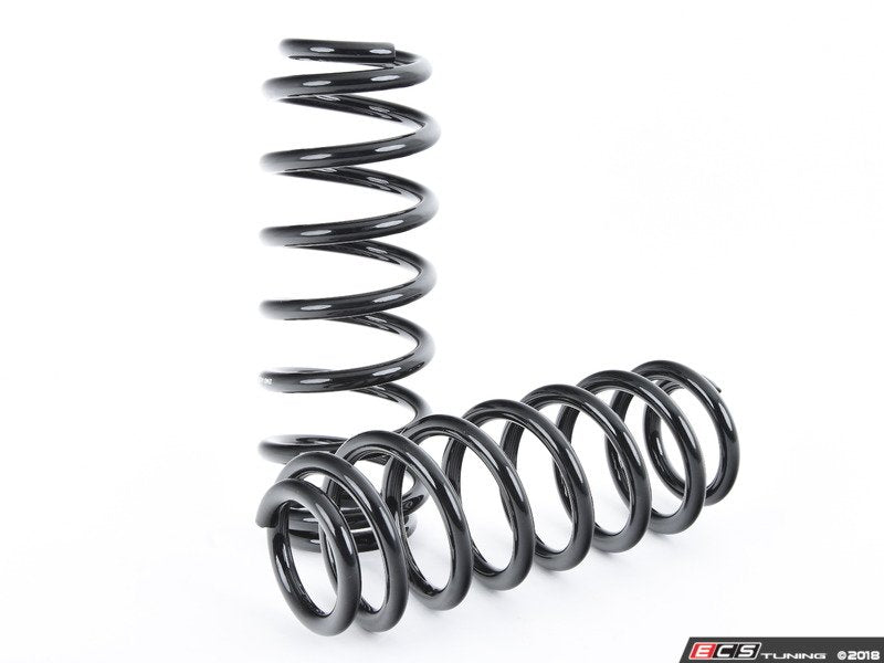 Emmanuele Design Lowering Spring Kit