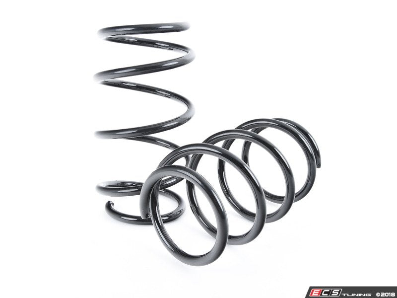 Emmanuele Design Lowering Spring Kit