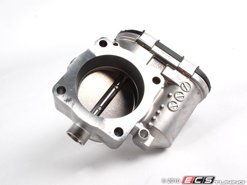 Throttle Body Assembly