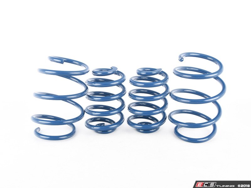 E46 M3 Performance Spring Set