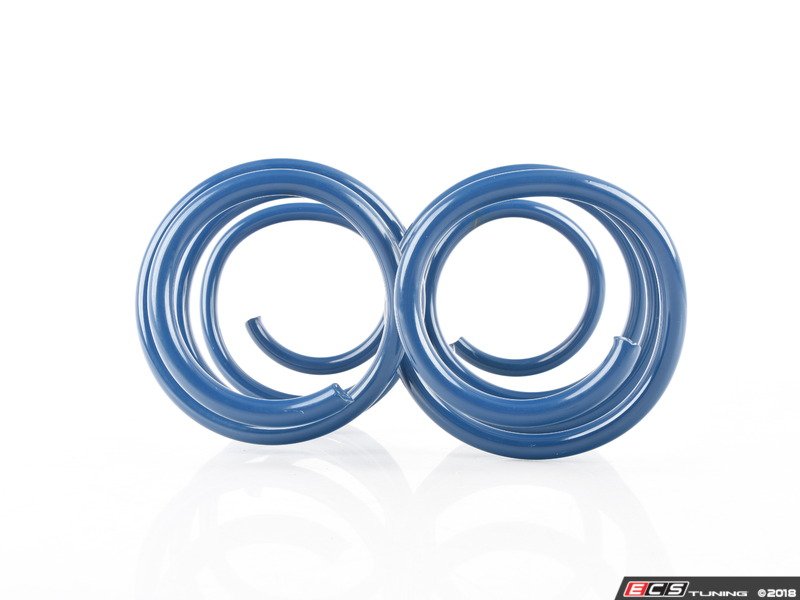 E46 M3 Performance Spring Set