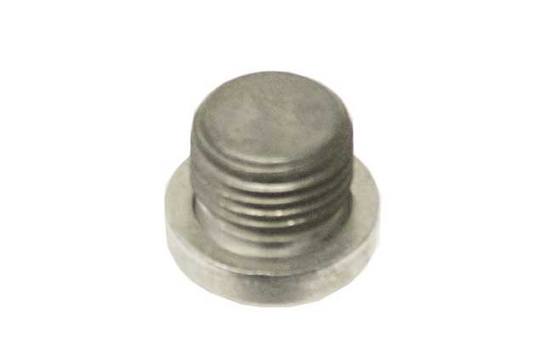 Screw Plug (w/ Sealing Ring) (M16x1.5)