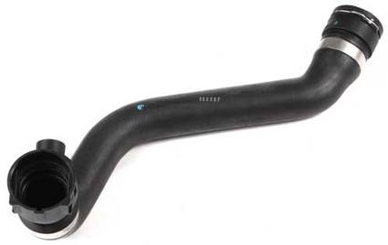 BMW Engine Coolant Hose – Lower 11531705224 – Rein CHR0005P