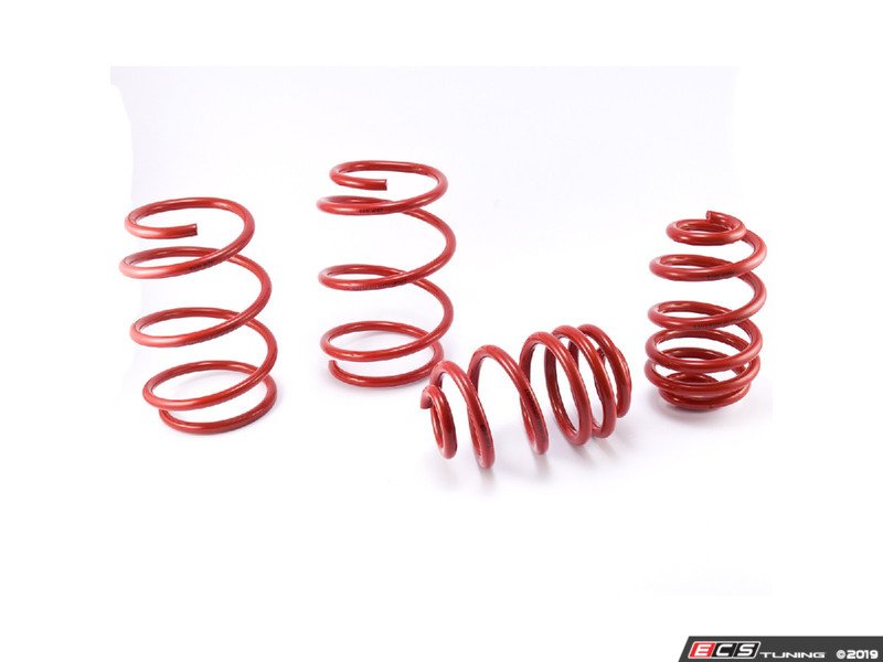 Bavarian Autosport Performance Springs - Set of 4