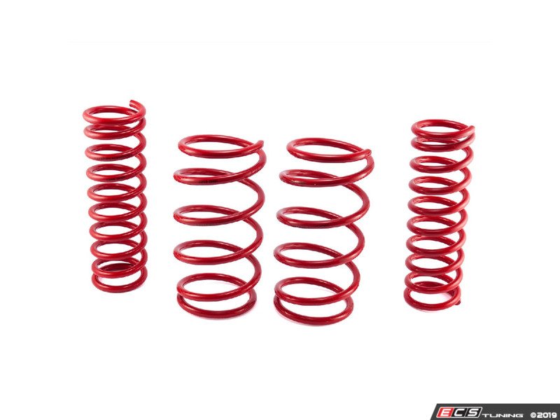 Bavarian Autosport Performance Springs - Set of 4