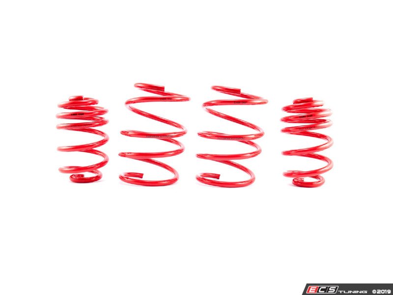 Bavarian Autosport Performance Springs - Set of 4