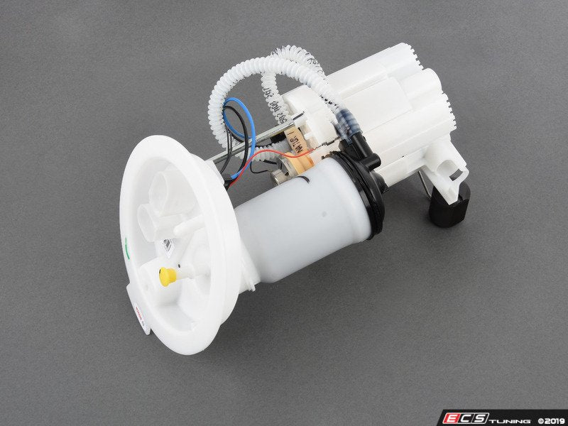 Low Pressure Fuel Filter/Pump Assembly