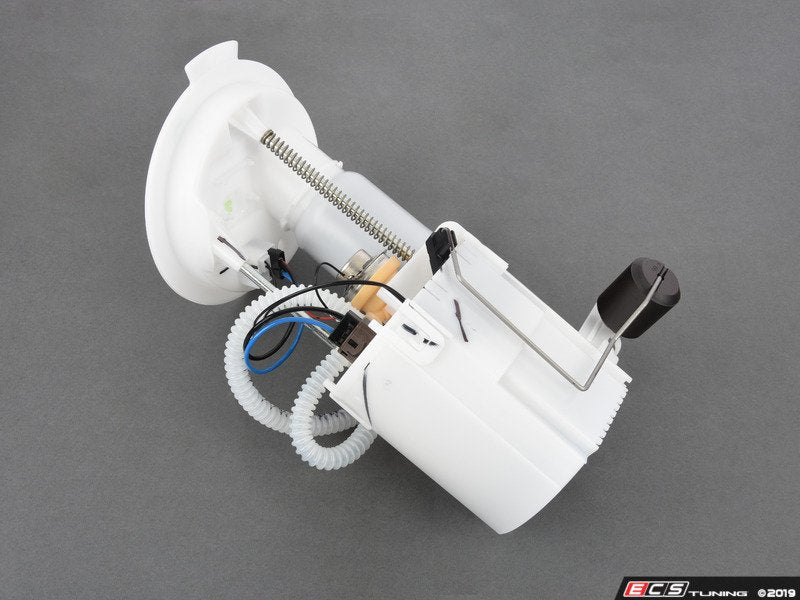 Low Pressure Fuel Filter/Pump Assembly