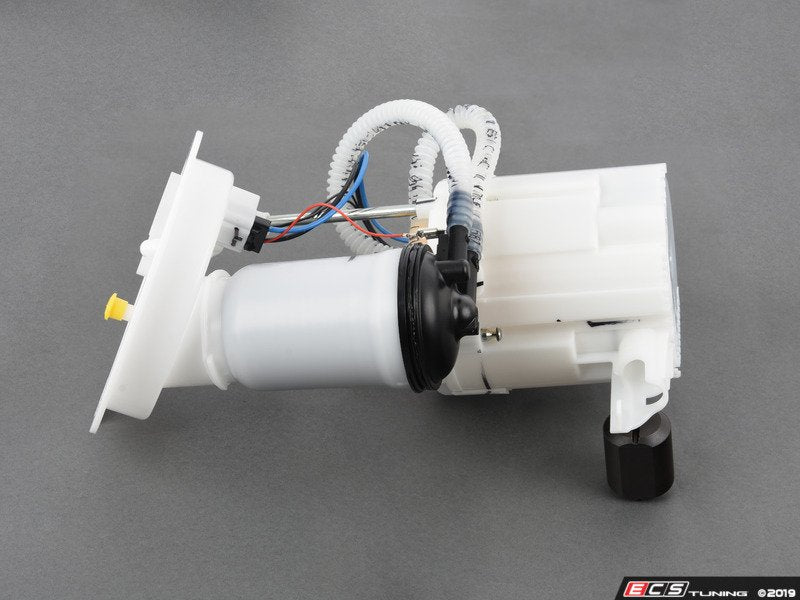 Low Pressure Fuel Filter/Pump Assembly