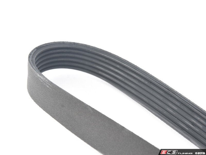 Accessory Belt (2115 MM)