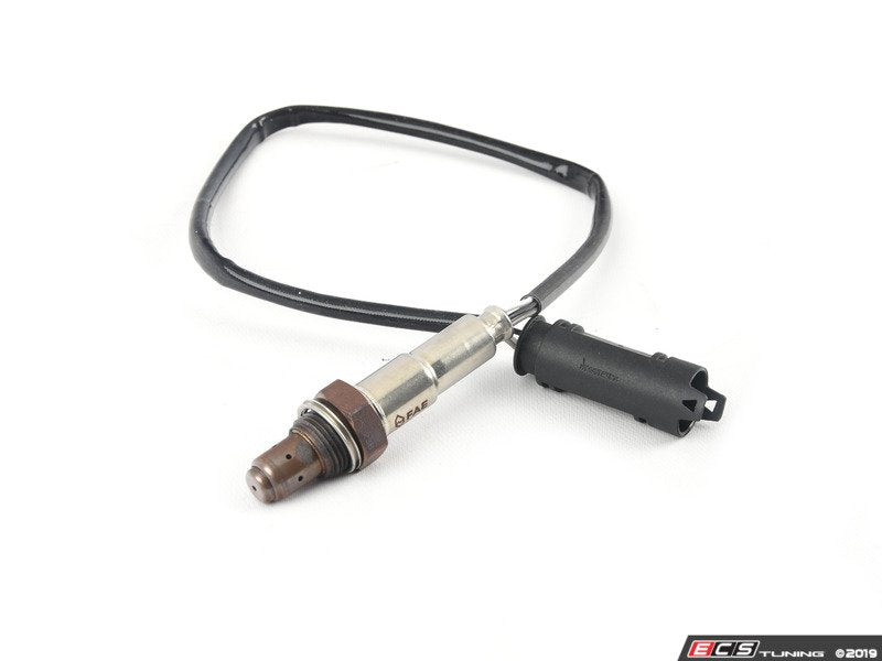 Oxygen sensor