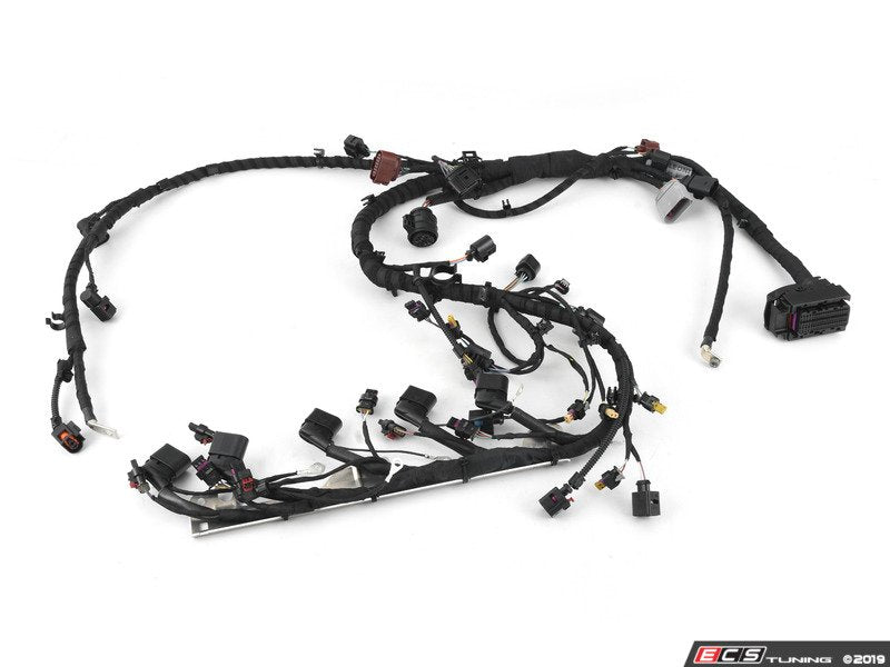 Engine Wiring Harness