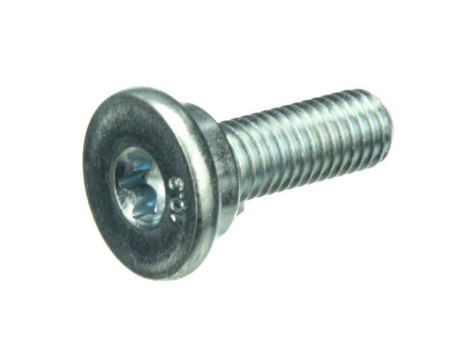 Tensioner Lever Bolt