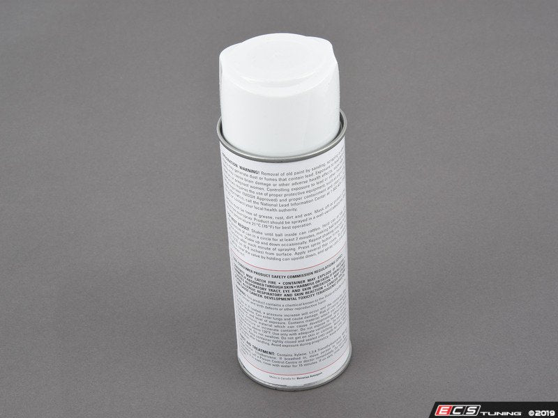 Touch Up Paint - 12 Oz Spray Can