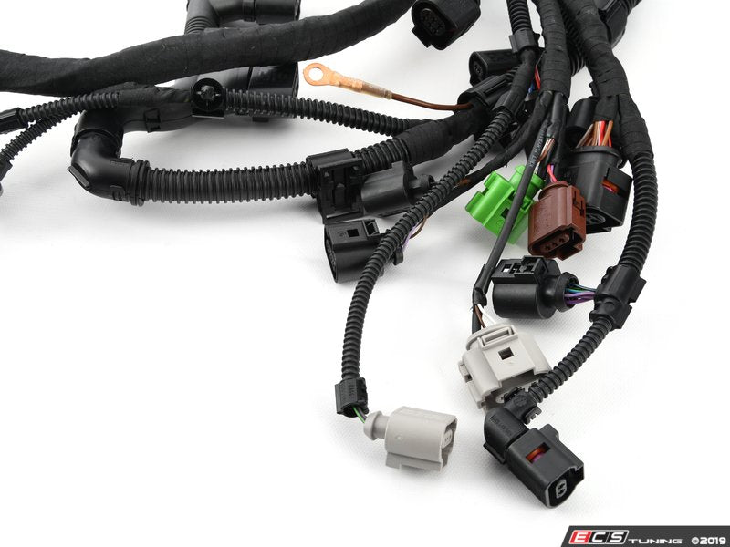 Engine Wiring Harness