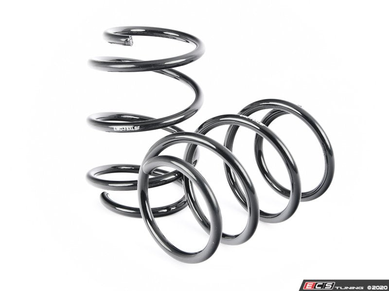 EMD Auto Lowering Spring Kit