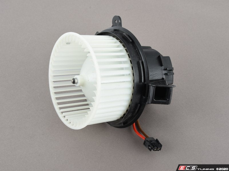 Blower Motor