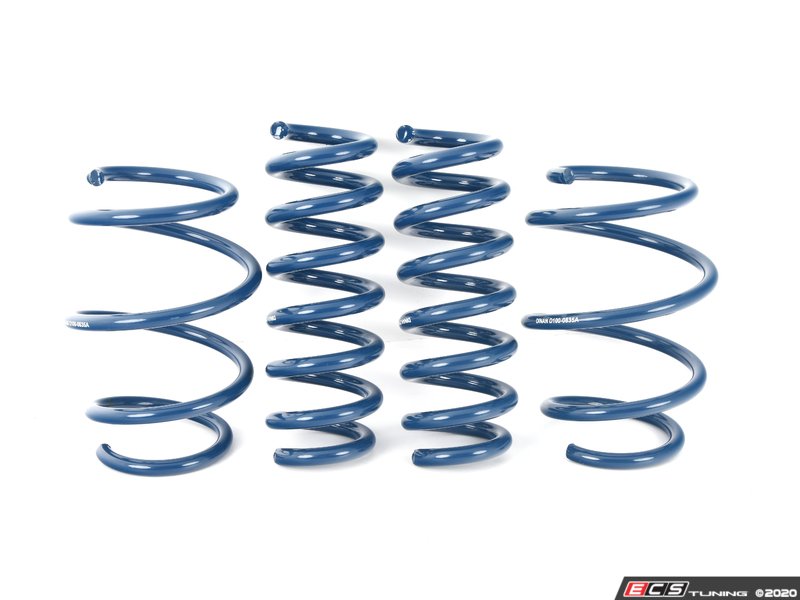 Dinan Performance Spring Set