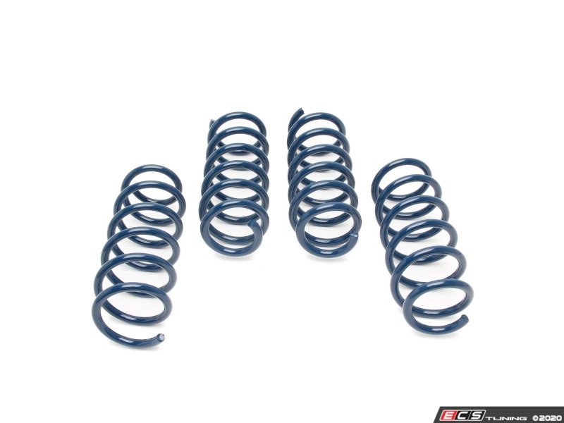 Dinan Performance Spring Set