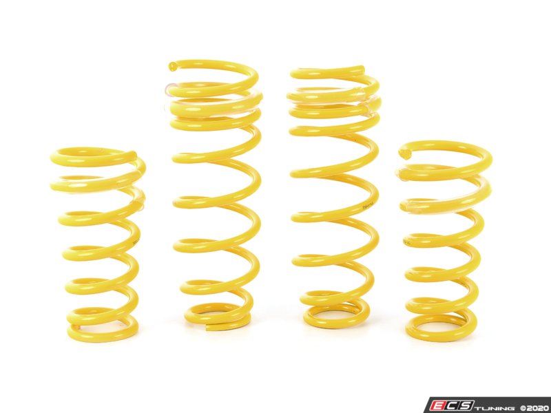 F10 Streetline Coilover System - Fixed Damping - F10