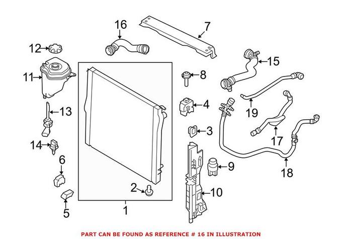 Radiator Coolant Hose – Lower