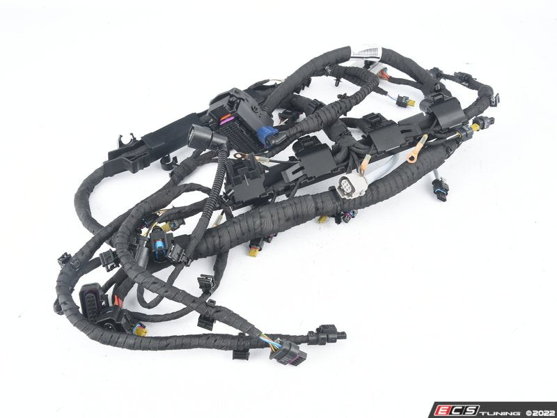 Engine Wiring Harness