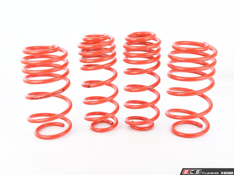 AST Lowering Springs - CC 2.0T