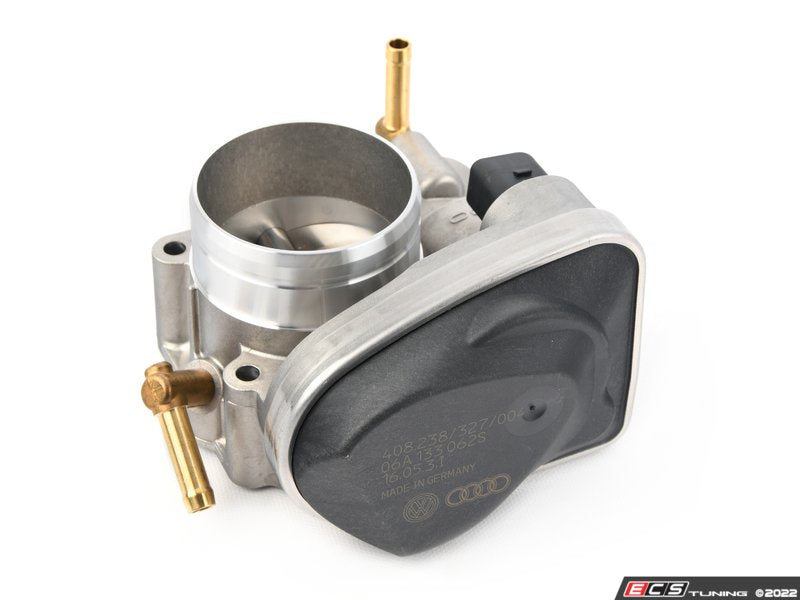 Throttle Body Assembly