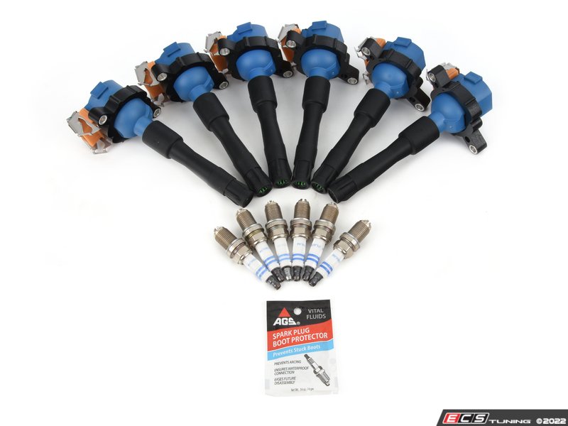 Performance Ignition Service Kit