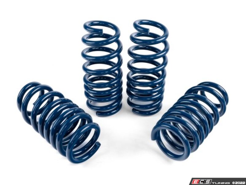 DINAN PERFORMANCE SPRING SET - 2020-2023 BMW X5M / X6M