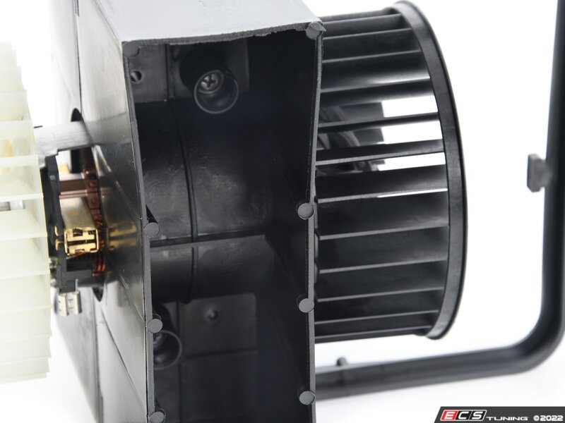 Blower Motor