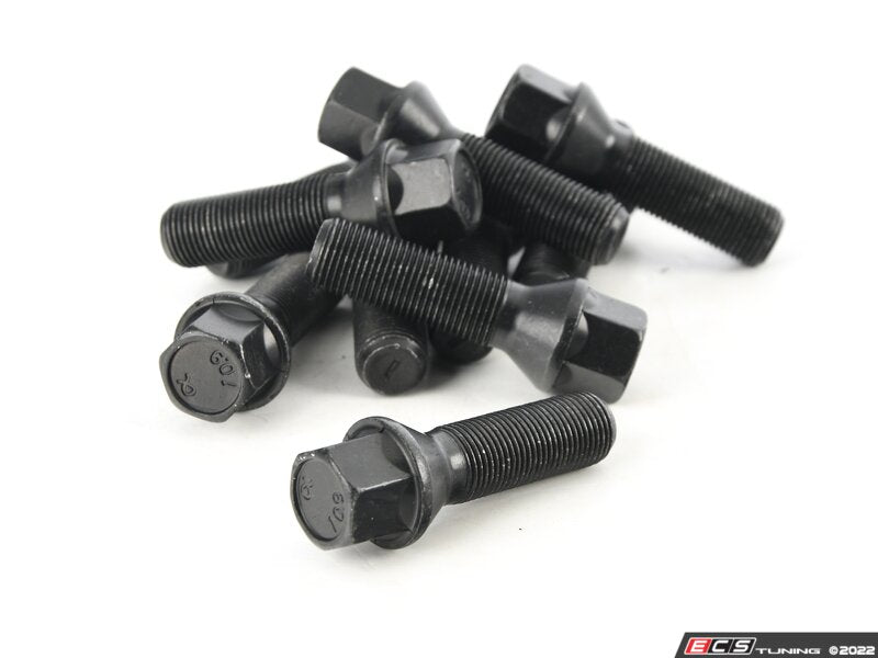 Lug Bolt Kit - Set Of 10 - 40mm