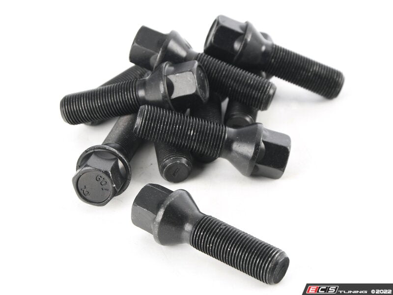 Lug Bolt Kit - Set Of 10 - 40mm