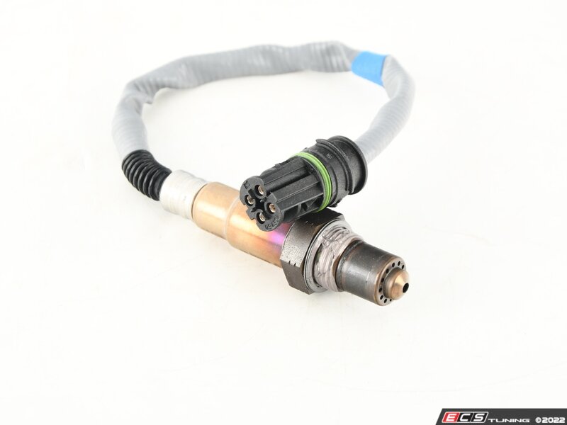 Oxygen Sensor