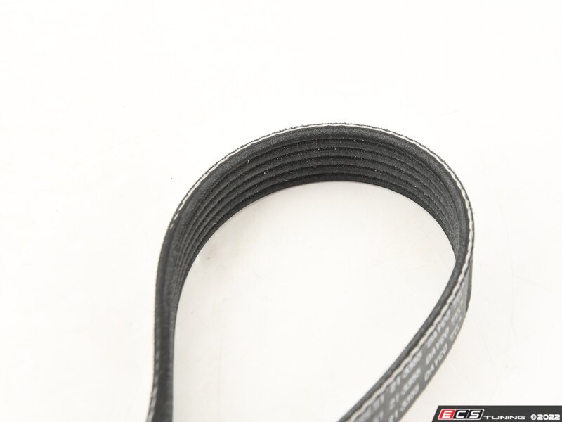 Accessory Belt (1000 MM)