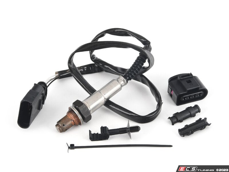 Oxygen Sensor