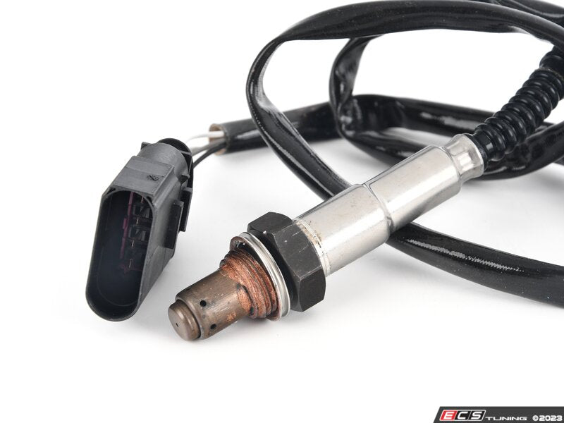 Oxygen Sensor