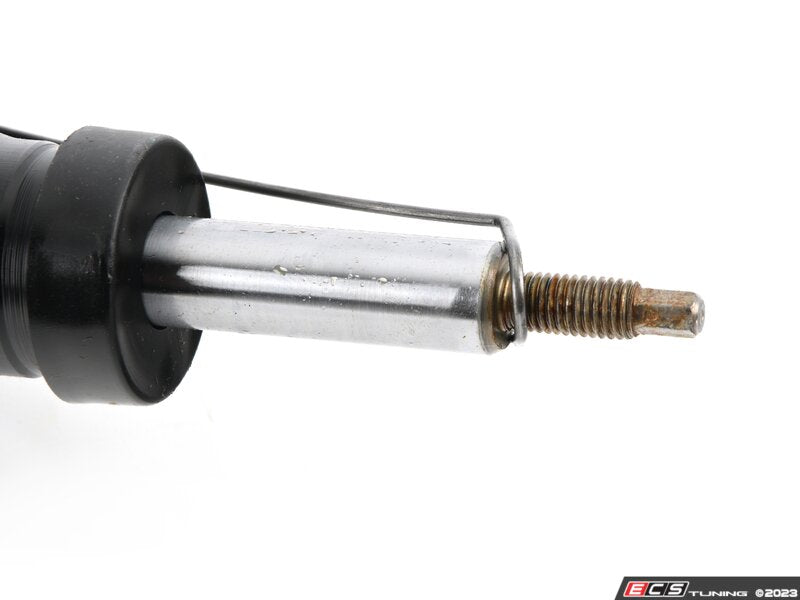 Front Strut - Priced Each