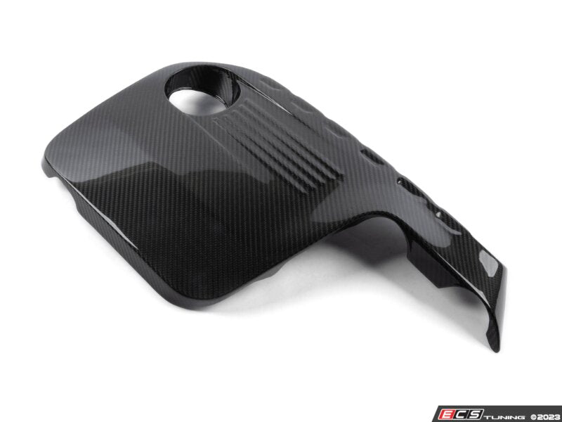 Carbon Fiber Engine Beauty Cover - F8X S55