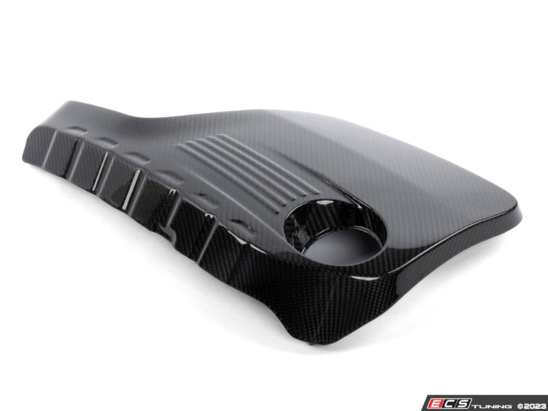 Carbon Fiber Engine Beauty Cover - F8X S55